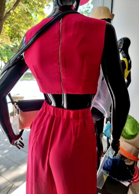 Гащеризон циклама