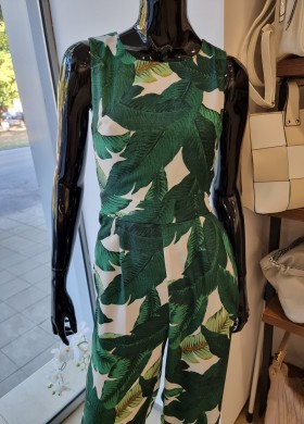 Гащеризон зелени листа