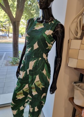 Гащеризон зелени листа